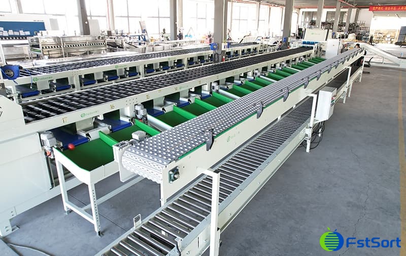 potato optical sorting machine.jpg potato optical sorting machine.jpg
